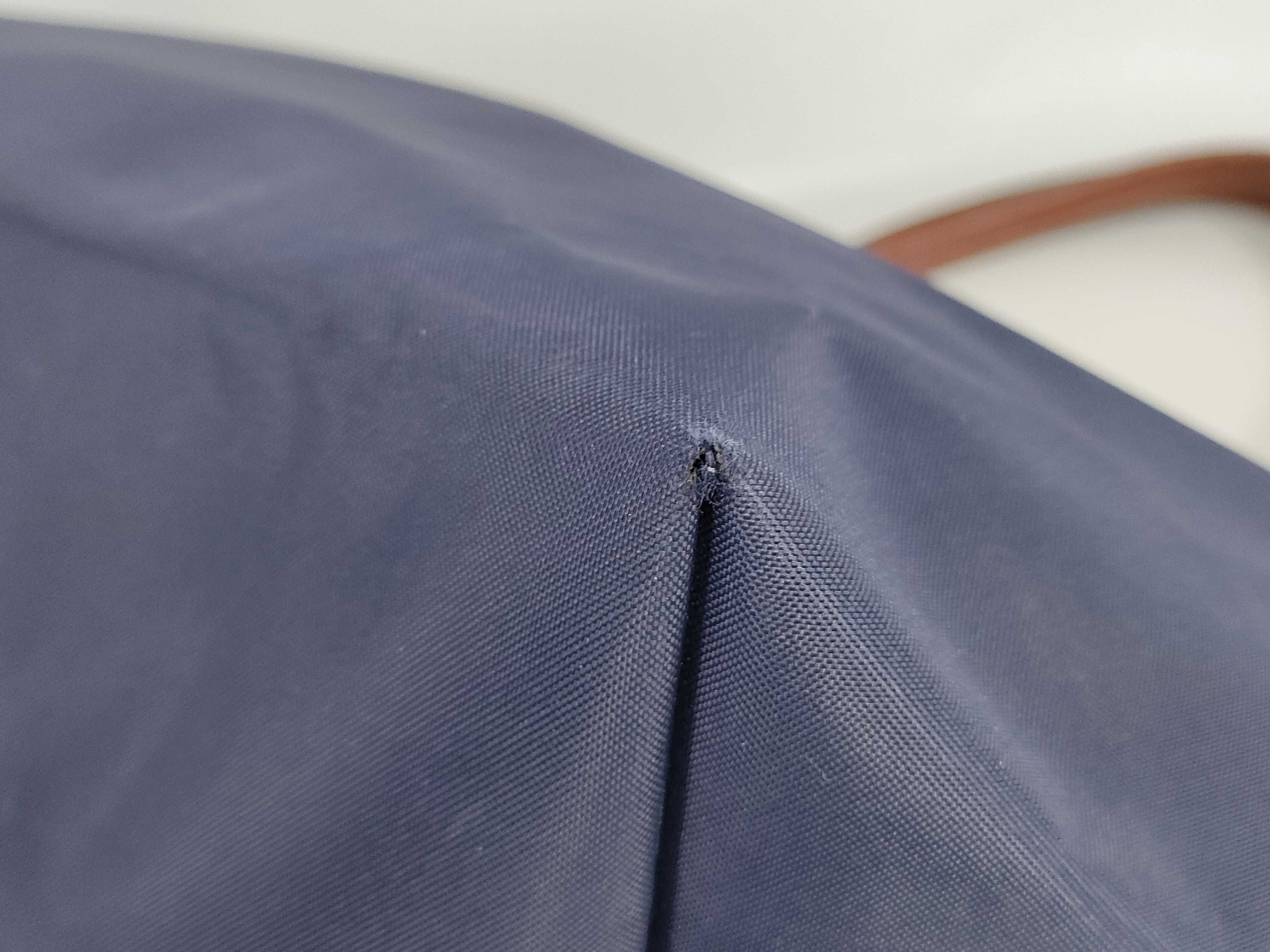 Blue Longchamp Bag