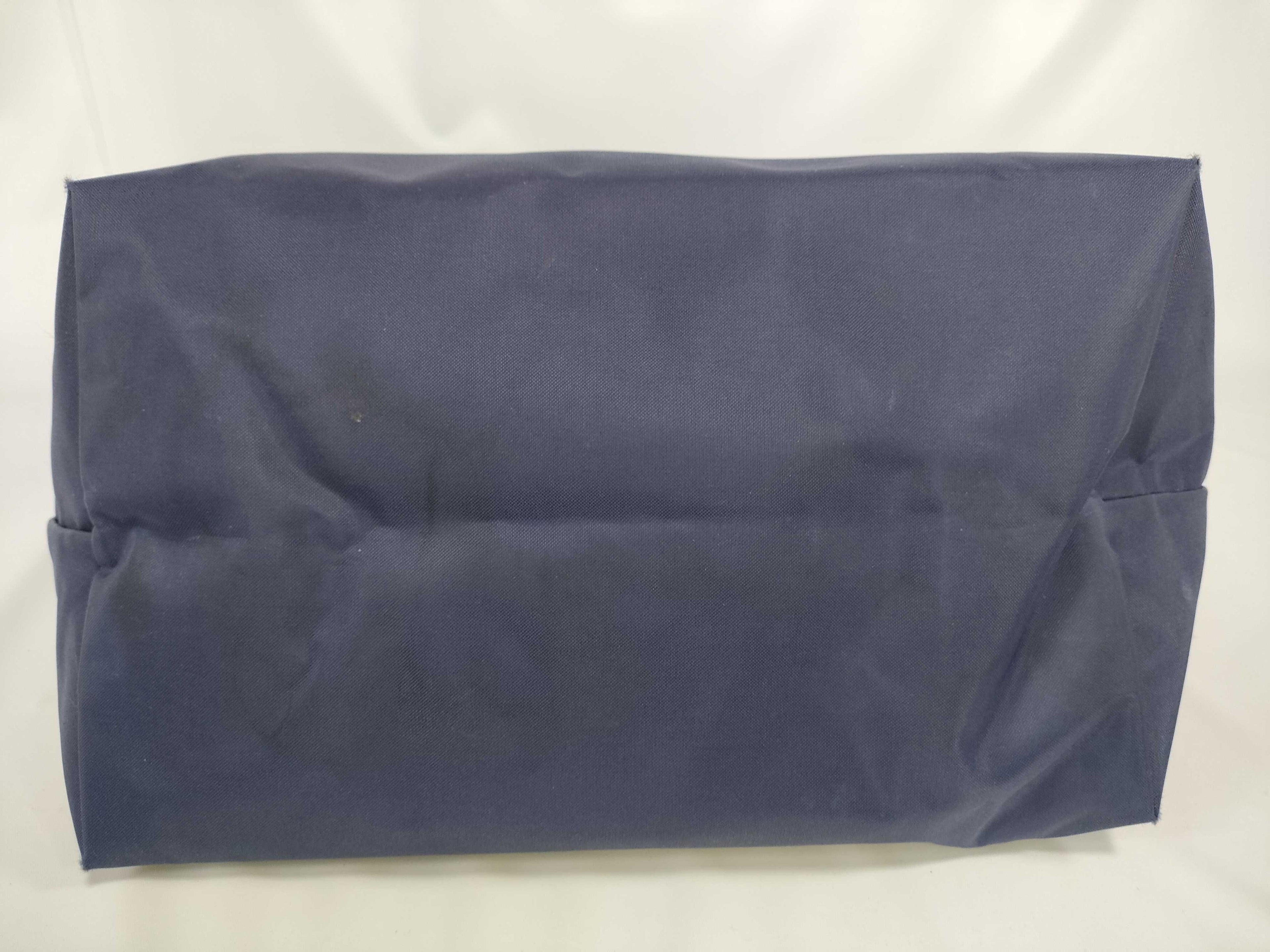 Blue Longchamp Bag