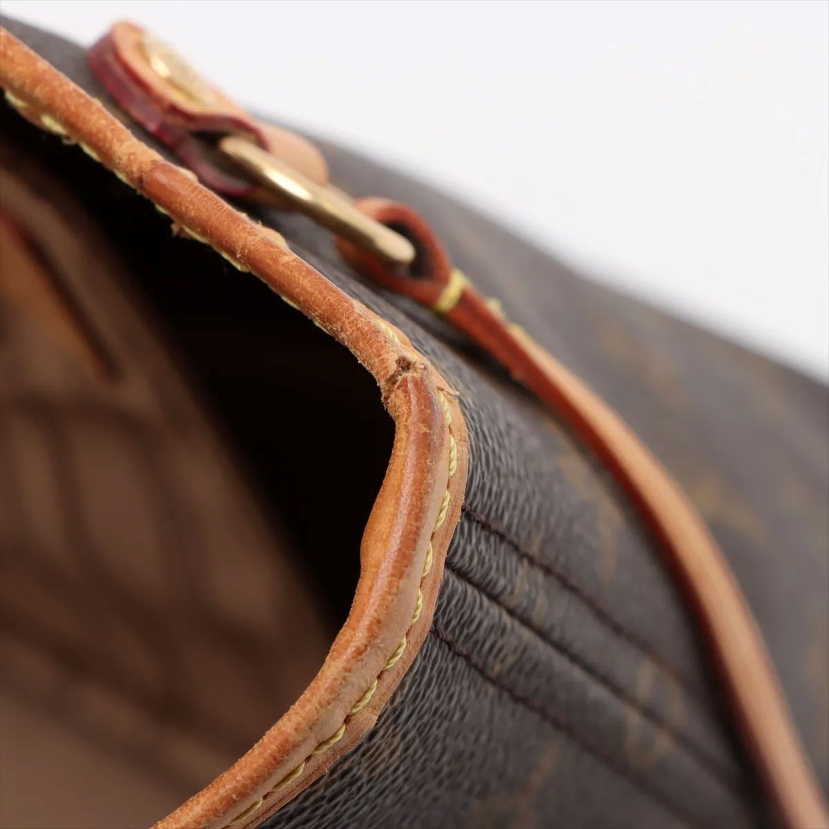 Louis Vuitton Neverfull PM