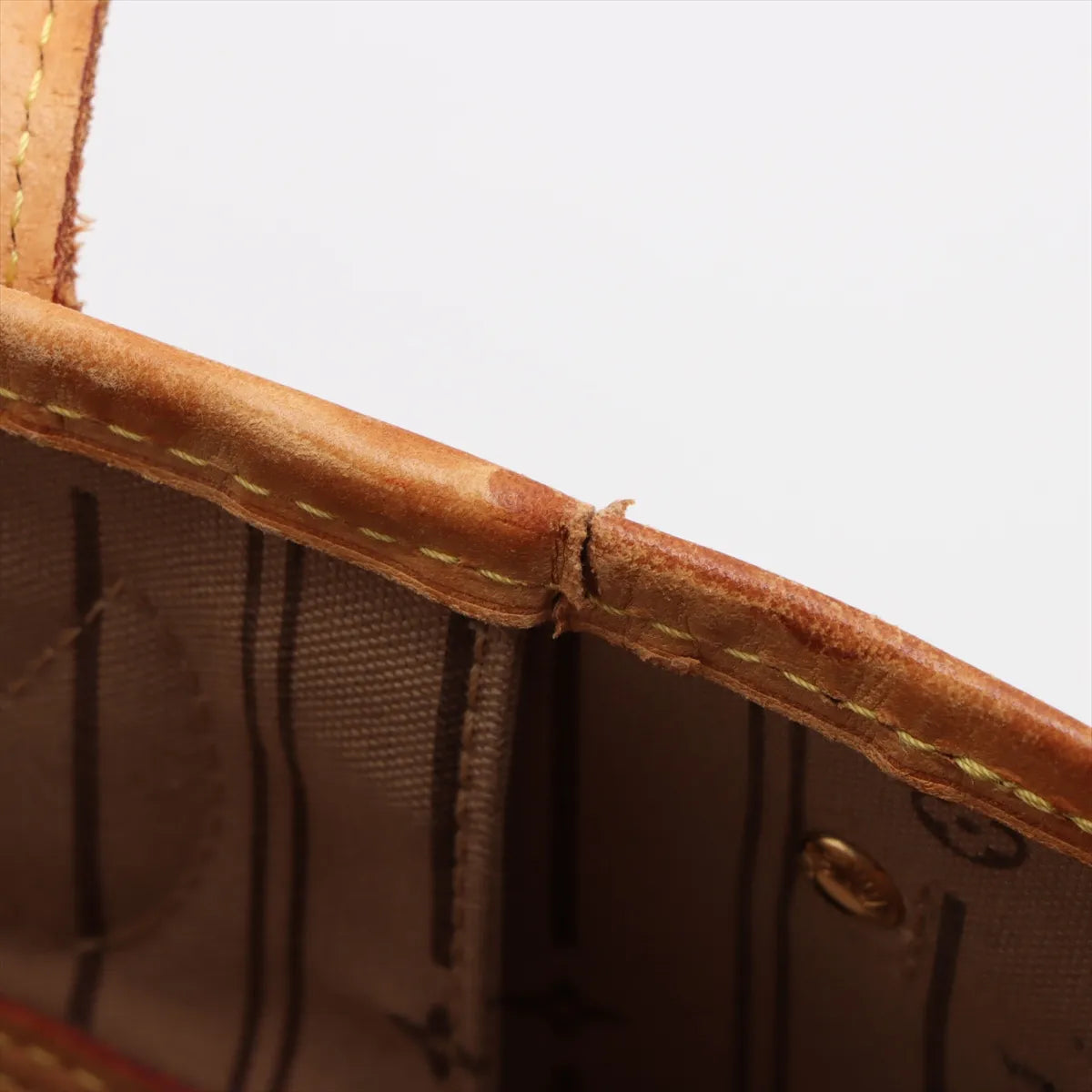 Louis Vuitton Neverfull PM