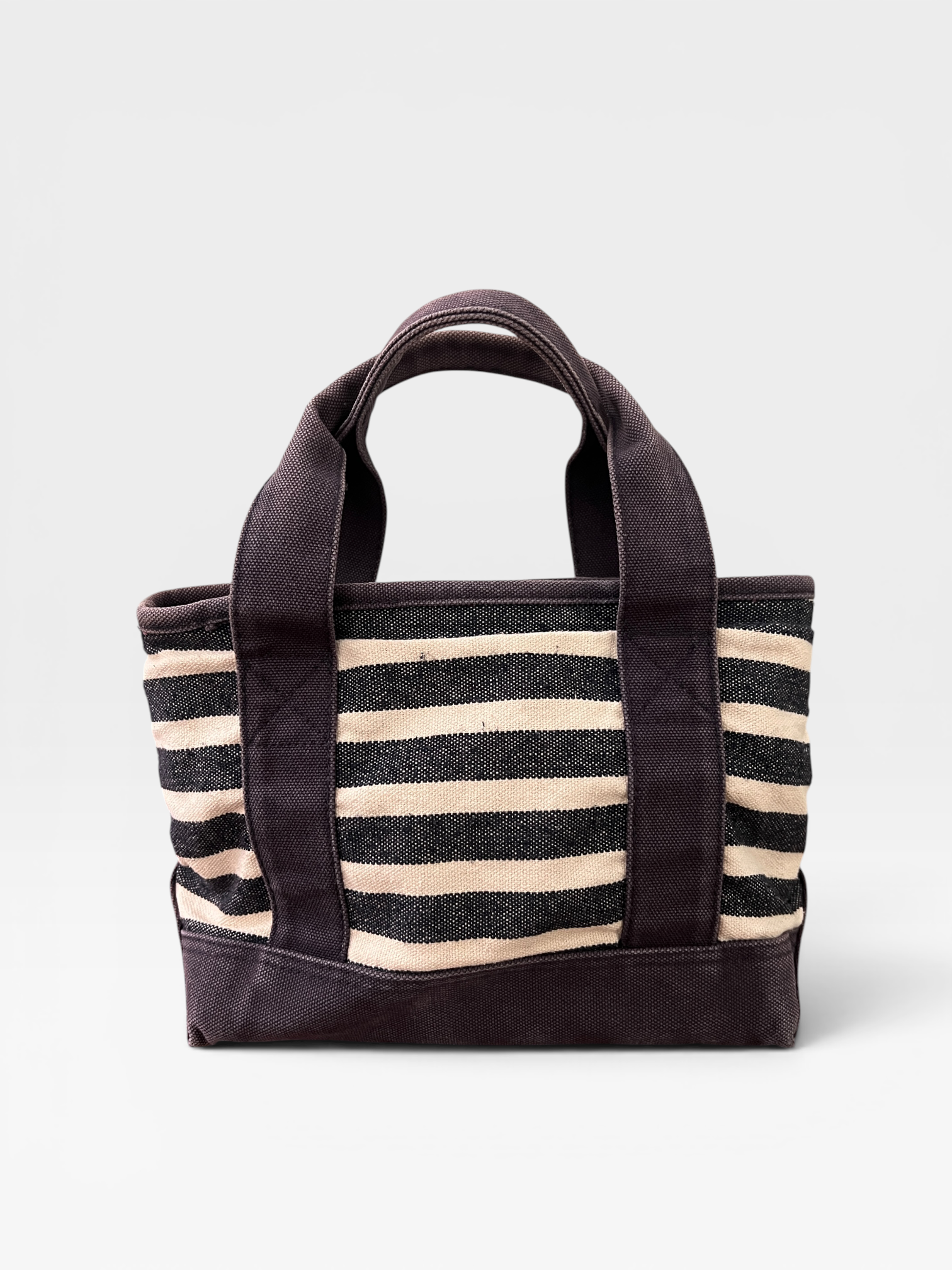Polo Ralph Lauren Canvas Striped Mini Tote