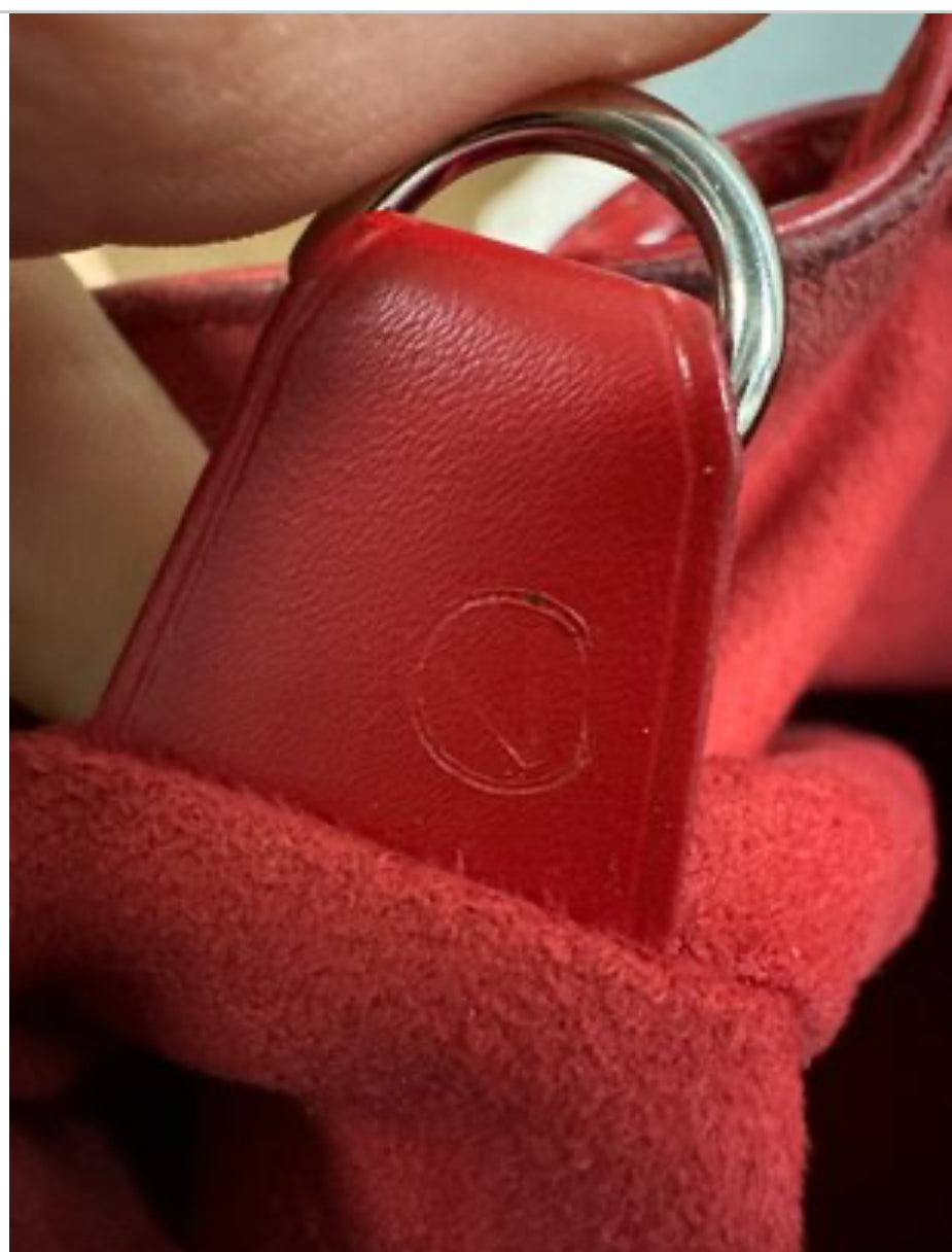 Louis Vuitton Petit Noé Bucket Bag